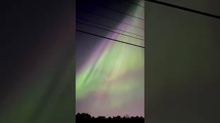 I saw the Aurora Borealis in Laval, Quebec, Canada 🥹🫶✨ #shorts #auroraborealis #northernlights