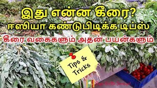 கீரை வகைகள் மற்றும் அதன் பயன்கள்  | Keerai Vagaigal And Benefits In Tamil | How To Identify Keerai