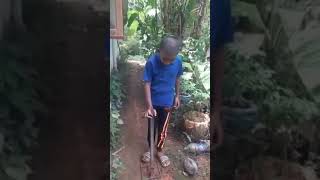 എങ്ങനെ നമുക്ക് തേങ്ങ പൊതിക്കാം.....(How to husk a coconut)