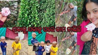 ସକାଳୁ ଉଠି ଘରେ ସବୁ କାମରେ ଲାଗିଗଲେ☺ / ଭାଇ ତାର କାମରେ ଲାଗିଯାଇଚି😍ସବୁ fresh  ଶାଗ  ତଳିଲି😍ଆଳୁ ଚାଷ  କରିଛନ୍ତି