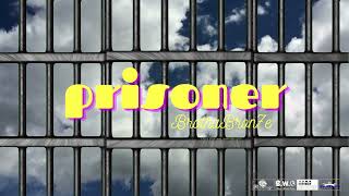 Brotha Bron7e - PRISONER