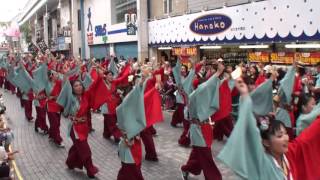 チーム陽 　～2016高知よさこい祭り・本祭2日目(帯屋町演舞場)