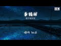 要不要買菜 多情種『如花 似夢 是我們短暫的相逢』【動態歌詞lyrics】