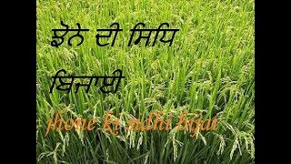 Jhone di sidhi bijai/jhone di sidhi bijai di jankari