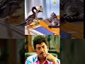 நாய்க்கு நேரமில்லை எனக்கு வேலை இல்லை episode 2 dogs comedy beauty pets animals joke cute pets