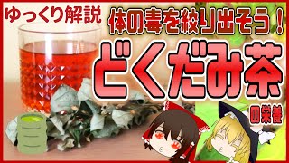 【ゆっくり解説】飲んでデトックス！どくだみ茶の栄養についてゆっくり解説！