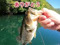 【七色ダム】見えバスいっぱい！三原虫40でナイスバスが釣れました☆