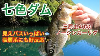 【七色ダム】見えバスいっぱい！三原虫40でナイスバスが釣れました☆