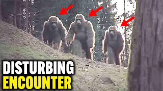 This Man Captured The MOST Convincing Images Of Bigfoot EVER Taken!