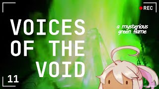 The slow burn is straight up on fire now | Voices of the Void [11]