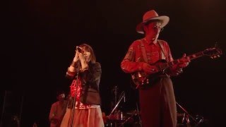 EGO-WRAPPIN'『Neon Sign Stomp』LIVE