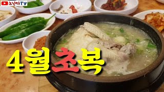 4월 벌써 초복? 삼계탕/울산맛집