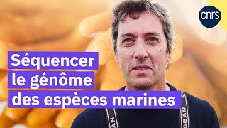 Les pêcheurs d'ADN | Reportage CNRS