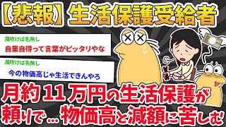 【2ch面白いスレ】月約11万円の生活保護→ 物価高と減額に苦しむ受給者がかわいそうだと話題にwww【2chニートスレ】※ゆっくり解説 #ナマポ