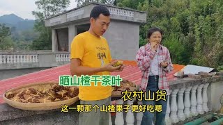 小勇和小七婚后生活感情稳定，进山捡一些山楂茶叶回来，烧茶喝