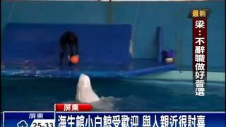 海生館小白鯨死亡 館內僅存3隻－民視新聞