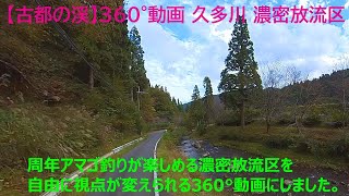 【古都の渓】360°動画 久多川 濃密放流区