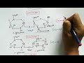 Disaccharide and polysaccharide | Carbohydrate part 3