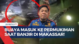 Geger! Buaya Masuk ke Permukiman Warga saat Banjir di Makassar, Warga Panik Berlarian