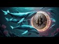 bernstein repeats $200k bitcoin target buy the dip 26 430 btc moved to whale otc addresses