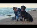 is owning a rottweiler right for you