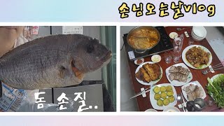 [손님초대vlog] 거대한 돔 손질, 손님초대음식하기, 생일선물 언박싱