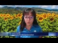 Sunflower Farm 360 Virtual Tour