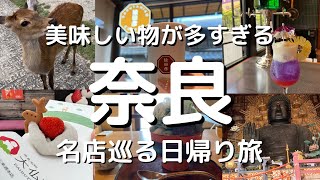 【奈良Vlog】奈良日帰り旅行！観光グルメ満喫旅！奈良観光・ 興福寺・五重塔・ご当地グルメ・ならまち・奈良公園・東大寺・鹿・大仏・鹿猿狐ビルヂング・nara・japan・Japan Travel