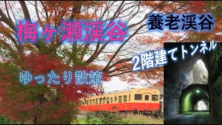 秋の梅ヶ瀬渓谷を散策 #養老渓谷#共栄向山トンネル