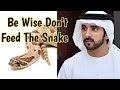 🛑Be Wise Don't Feed The Snake 🪱 | Sheikh Hamdan poetry | English fazza poems | Heart Touching poems