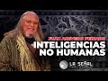 🔴 INTELIGENCIAS NO HUMANAS con Juan Acevedo Peinado #exclusivo #podcast  |📡Señal 378