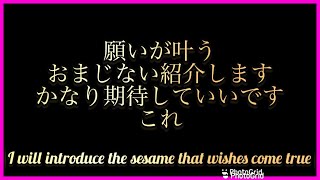 願いが叶うおまじないお教えします　I will tell you the sesame that a wish comes true