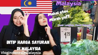 Bikin Kaget !!! Segini Harga Sayur Sayuran Di Pasar Malaysia // Mahal Atau Murah Ya ??