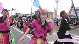 総踊り曲　うらじゃ音頭　庄川観光祭よさこい2023(パレード)