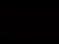 Feeling Whitney - Post Malone (W/ Audio and Lyrics)