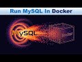 Run MySQL in Docker
