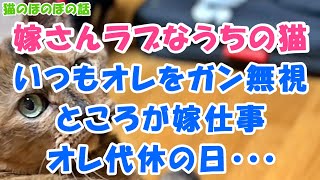 【猫のほのぼの話】嫁さんラブなうちの猫、いつもオレをガン無視。ところが嫁仕事オレ代休の日…