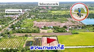 ที่ดินคลอง10 บึงบา หนองเสือ ปทุมธานี