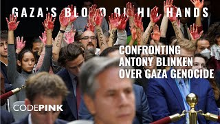 Confronting Blinken \u0026 Austin over Gaza Genocide