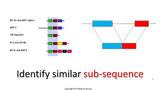 Week 2.2.1 From Global to Local (Sequence Alignment - Part II) (Sequence Alignment)