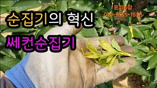 쎄컨 순집기 방법, 고품질 다수확의 핵심중 하나