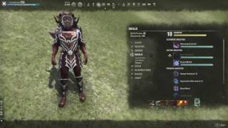 (ESO) Magicka Dragonknight Build | Homestead Update