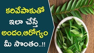 కరివేపాకుతో ఇలా చేస్తే అందం,ఆరోగ్యం మీ సొంతం..!! || Curry Leaves Health And Beauty Tips || Health