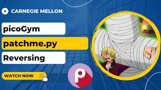 picoGym (picoCTF) Exercise: patchme.py