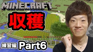 【マインクラフト】セイキン夫婦のマイクラ実況！練習編Part6 小麦収穫⇒パン作り！【Minecraft】