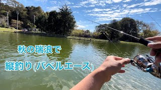 【管釣り】秋のフィッシングキャンプエリア瑞浪で縦釣り【エリアトラウト】