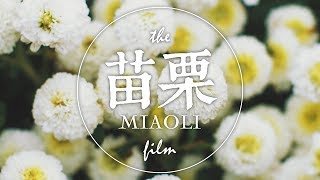 璁忙的一日遊 - the 苗栗MIAOLI film