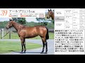 【一口馬主】募集取りやめ２頭でキャロット今年４頭目