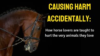 Harming Horses By Accident: Why The Horse Industry Needs Welfare Reform