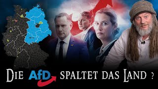 Die AfD und das gespaltene Land - woran liegt es? (Frank Stoner)